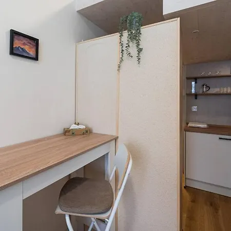 Tiny Studio For A Couple In Brno. *