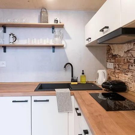 Tiny Studio For A Couple In Brno. * Brno